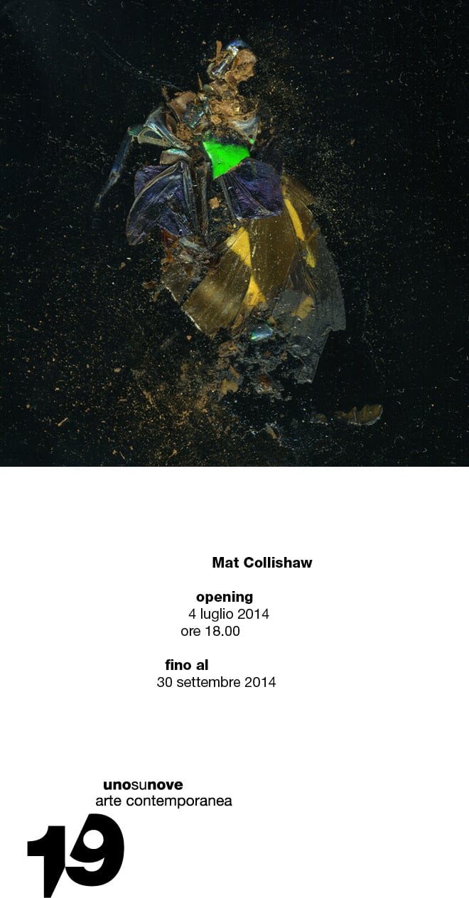 Mat Collishaw